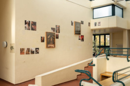 Thomas Michna / Photo / Video / Audio